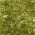 Avocado Green Transparent Plastic Pony Beads 6 x 9mm