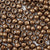 Antique Bronze Brown Pearl Plastic Craft Pony Beads, Size 6 x 9mm